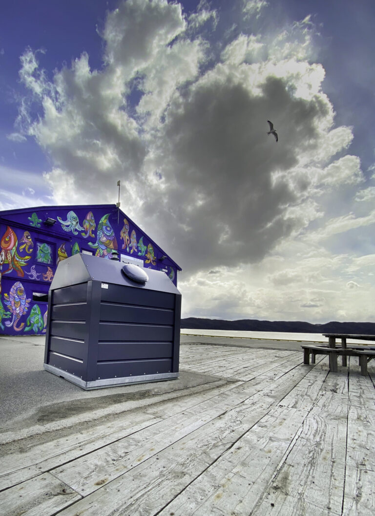 C-Modell, Oberflur-Container – Villiger Entsorgungssysteme AG